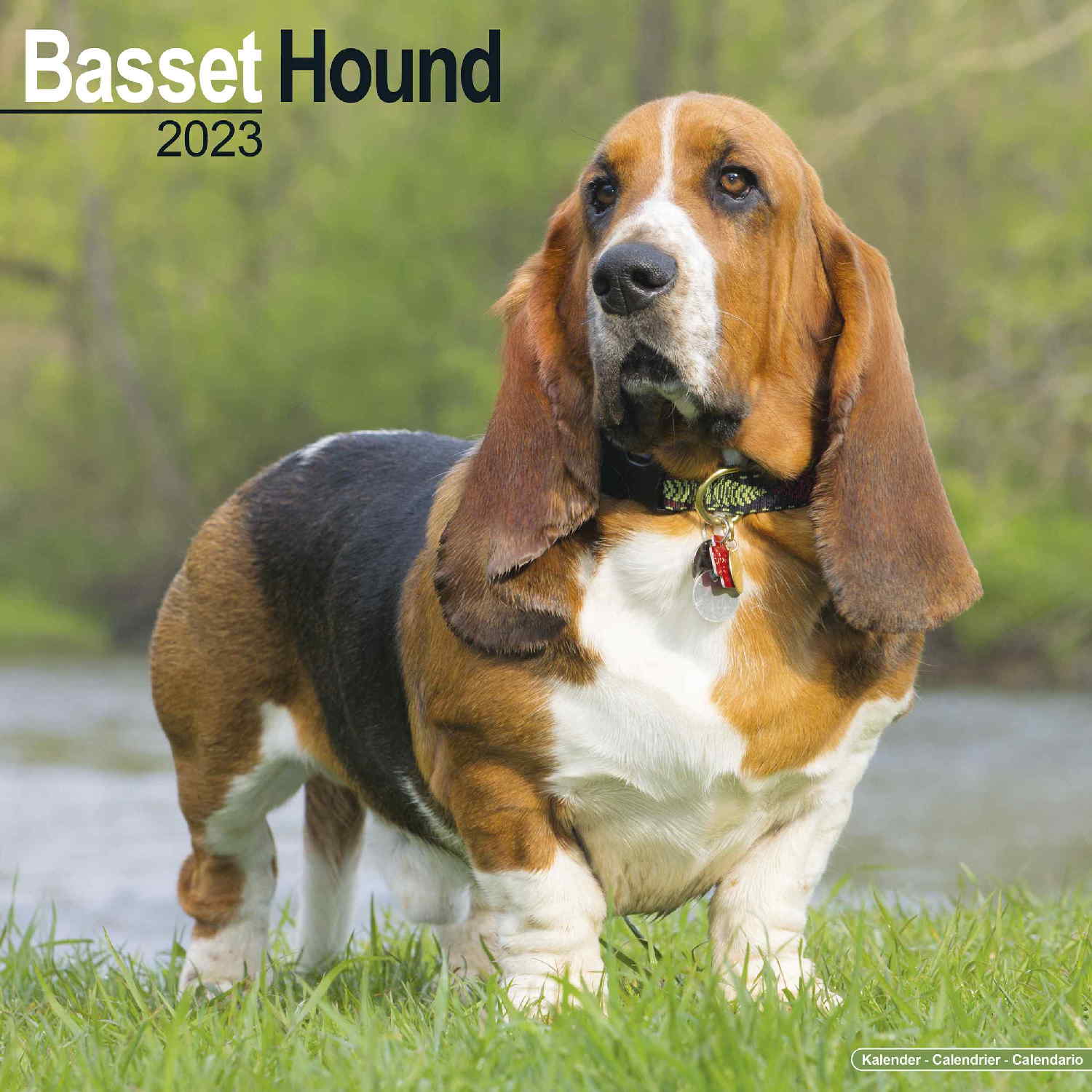 Basset Hound Calendar Dog Breed Calendars Pet Prints Inc