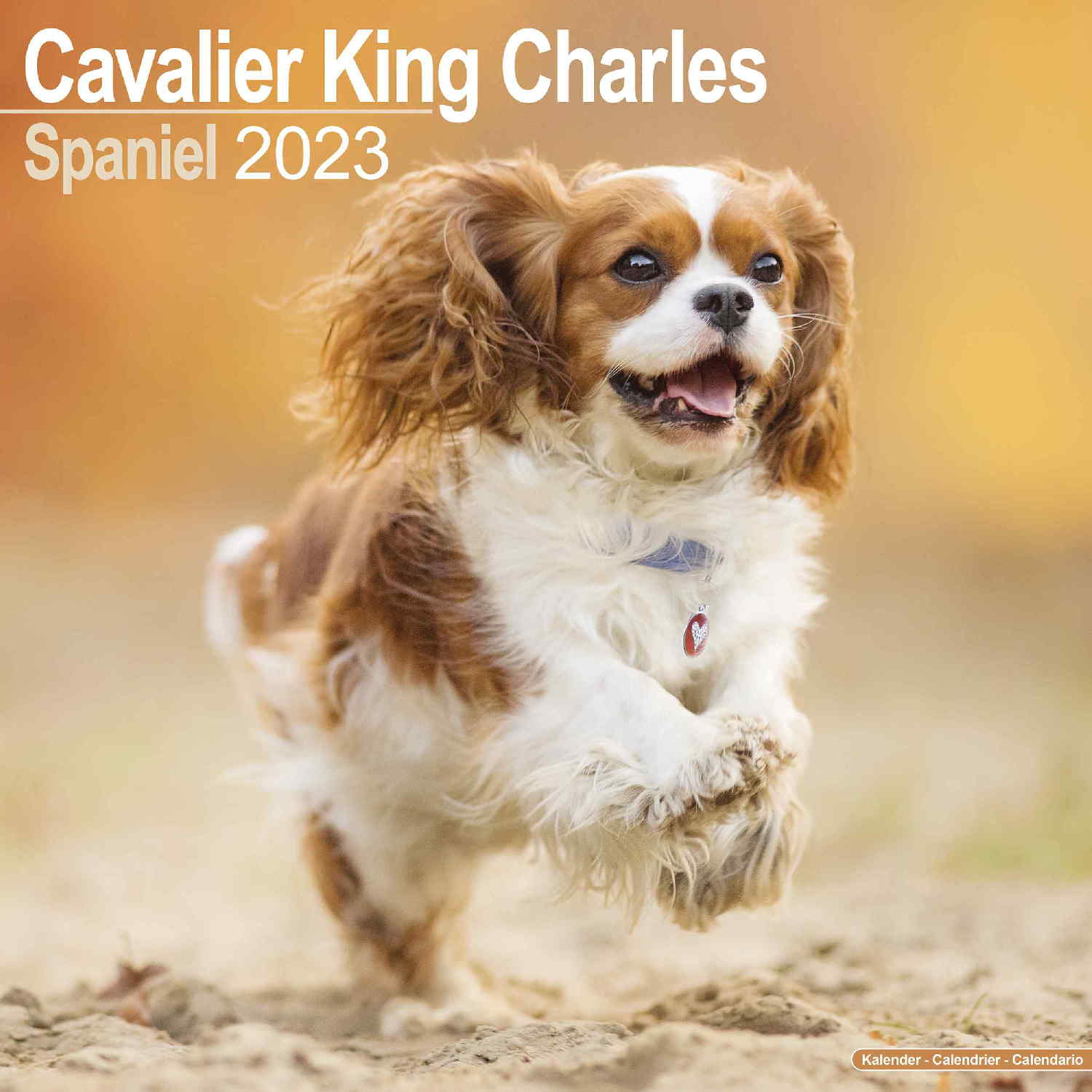 Cavalier King Charles Calendar Dog Breed Pet Prints Inc