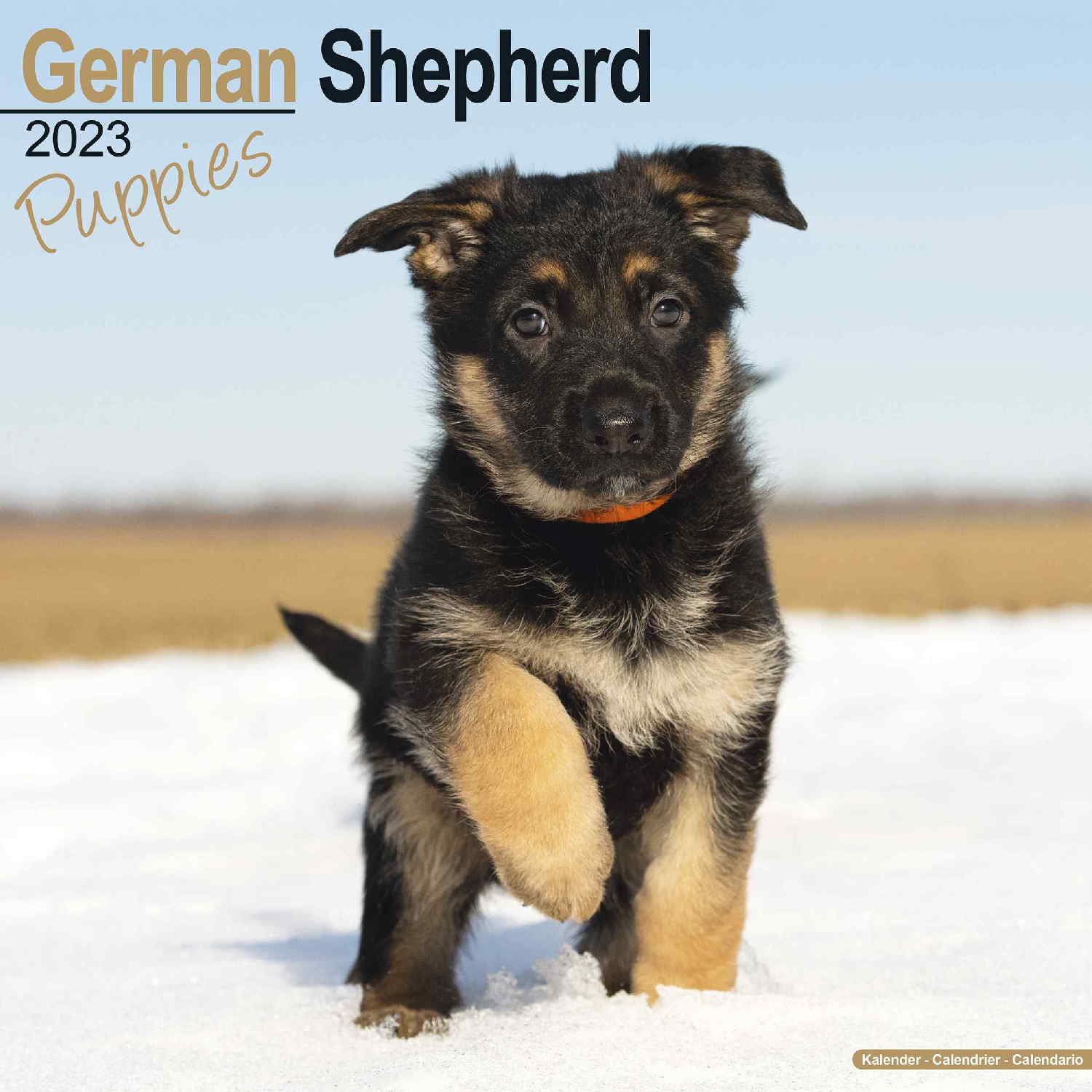 German Shepherd Puppies Calendar Dog Breed Pet Prints Inc