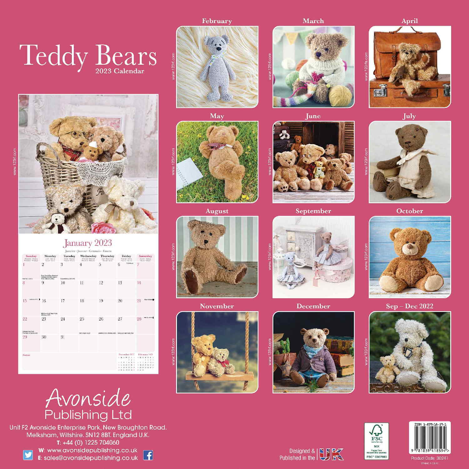 Teddy Bears Calendar Hobby Calendars Pet Prints Inc